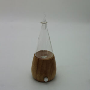 Glass Dome Fragrance Oil Diffuser